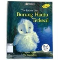 The Little Owl : Burung Hantu Terkecil
